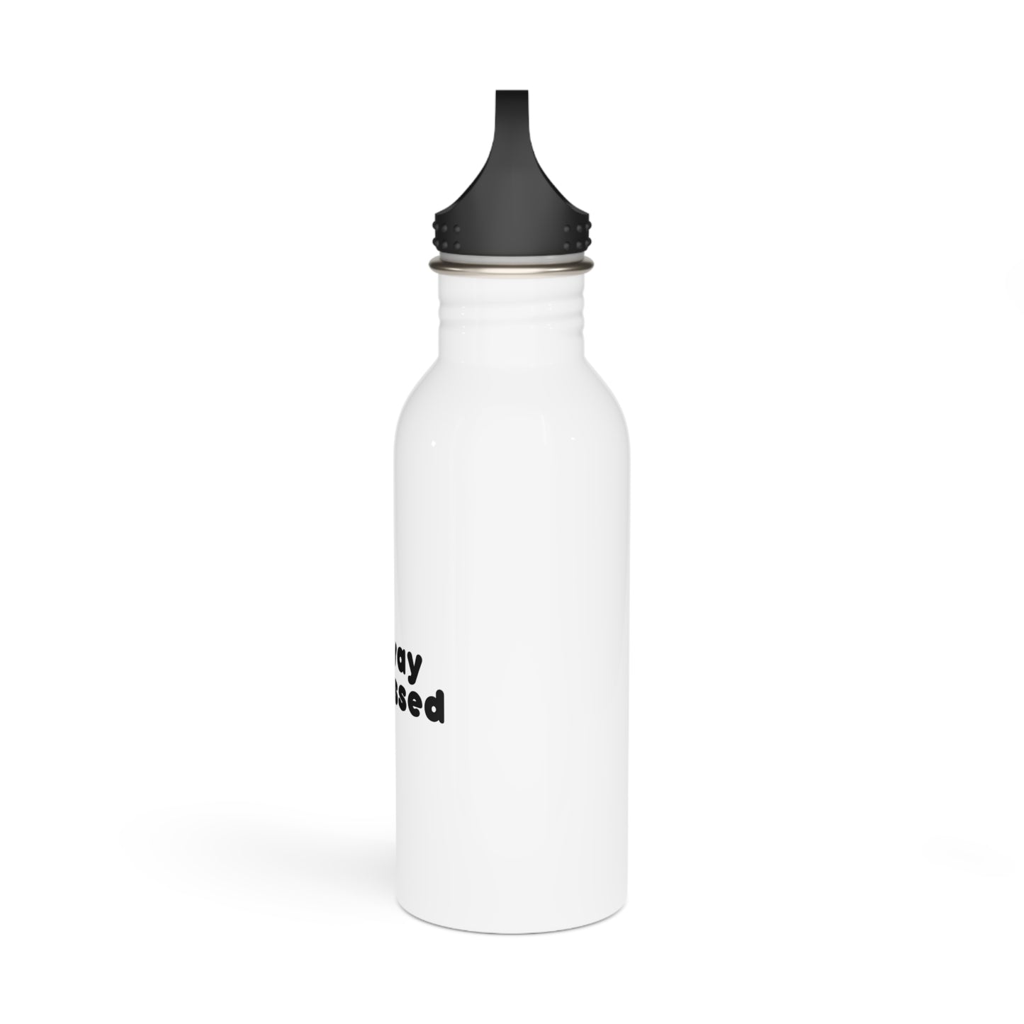 Stainless Steel Water Bottle