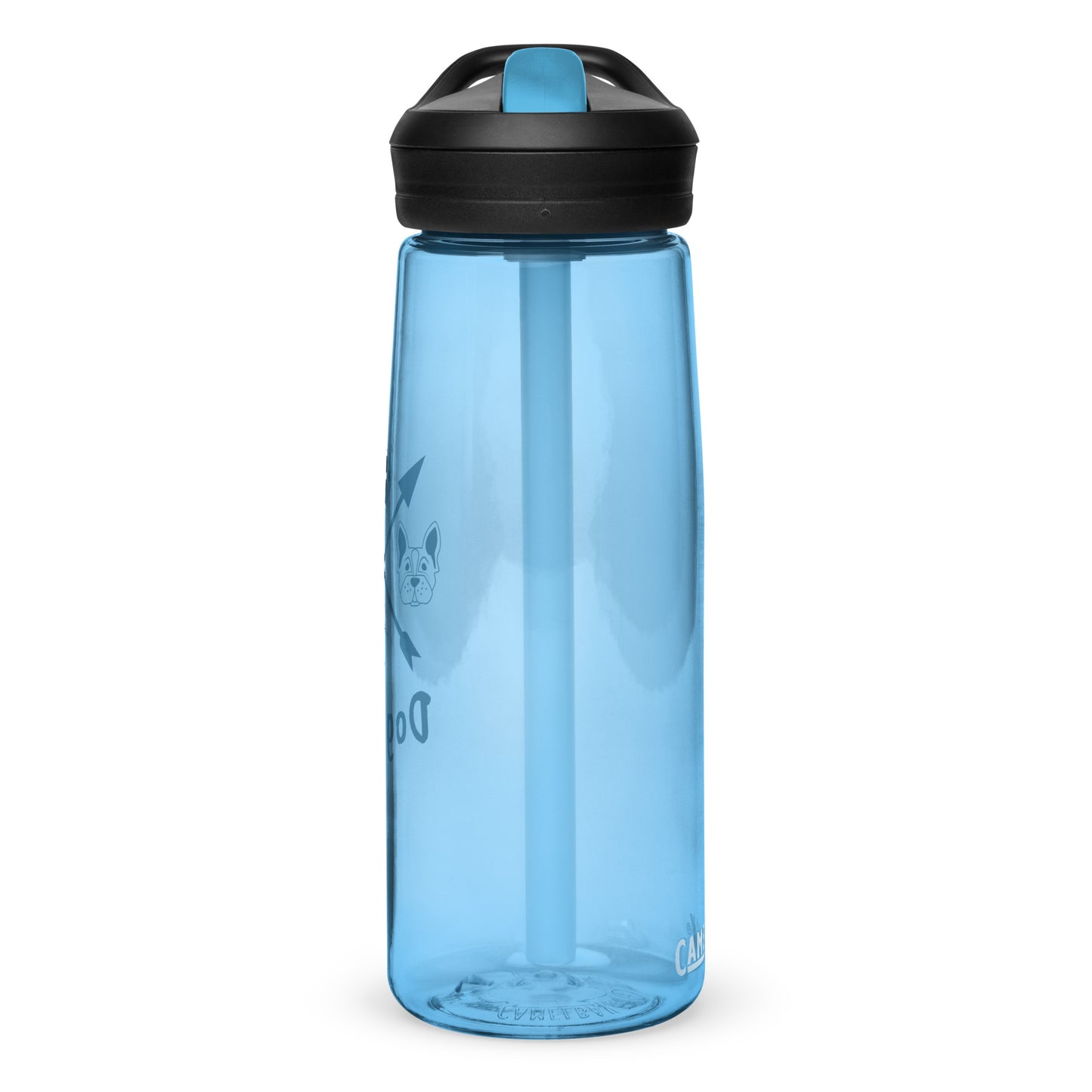 Sports water bottle