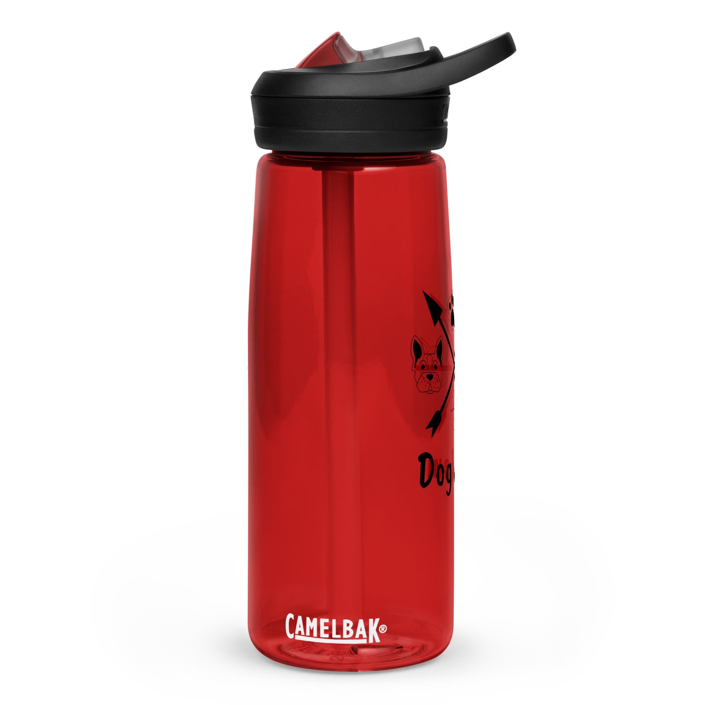 Sports water bottle