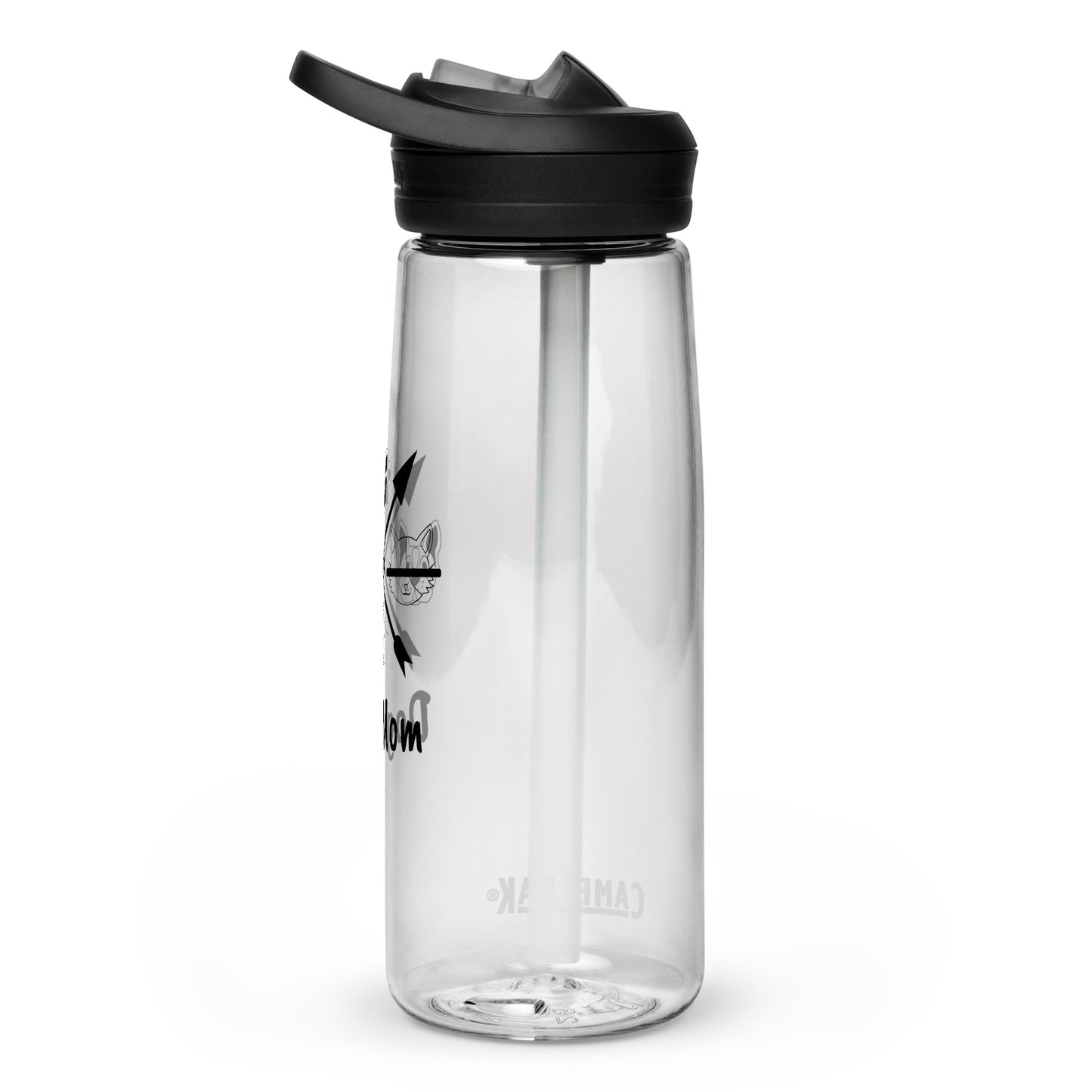 Sports water bottle