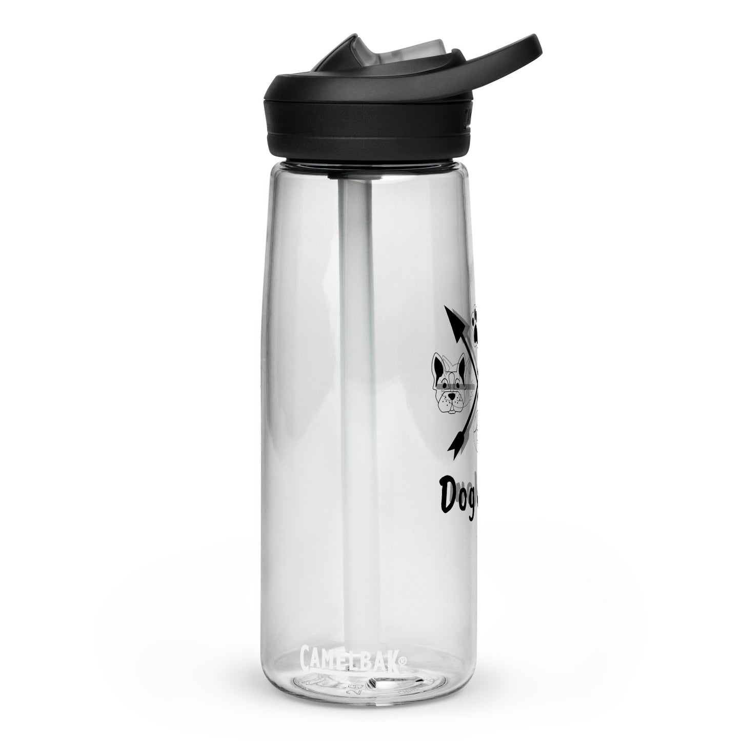 Sports water bottle