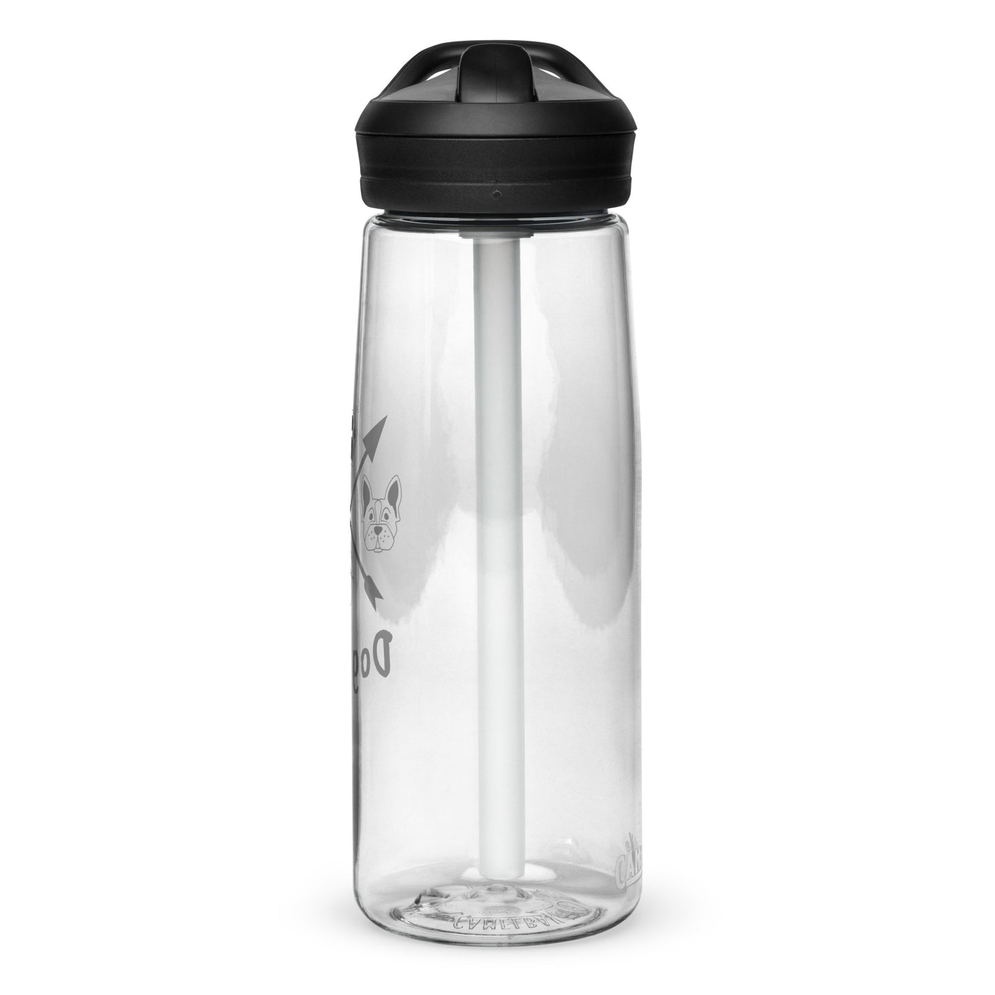 Sports water bottle