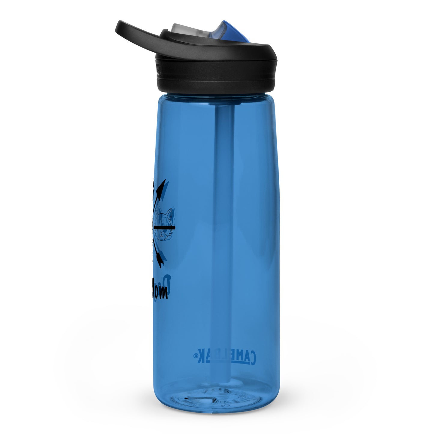 Sports water bottle