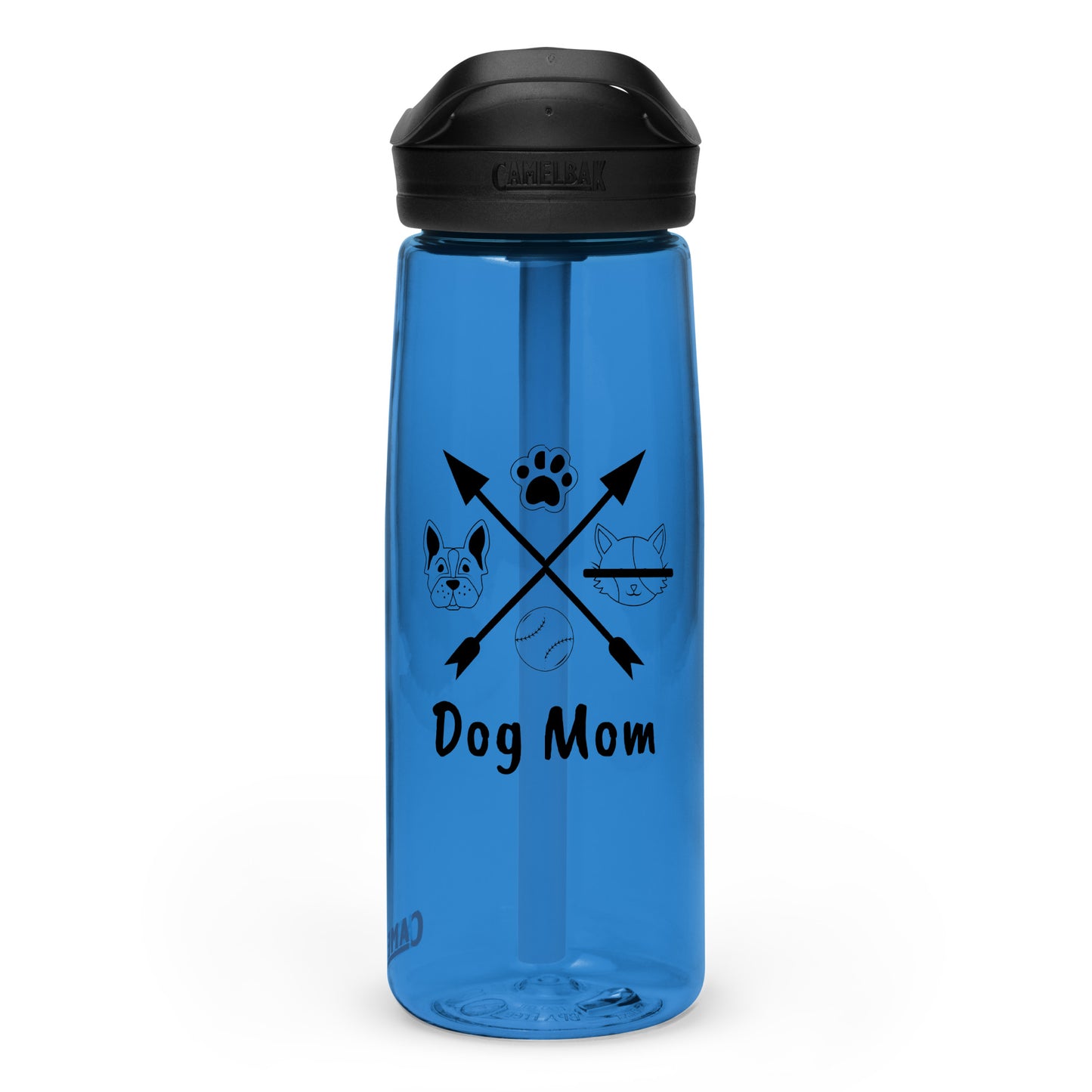 Sports water bottle